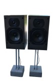 Boxe B&amp;W model DM 100