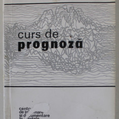 CURS DE PROGNOZA , ANII ' 80