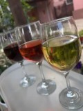 Vin de Vrancea