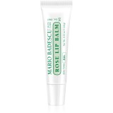 Mario Badescu Rose Lip Balm balsam de buze ultra nutritiv cu aromă de trandafiri 10 g