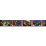 GRENADA 2016 WWF CORALI