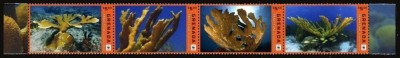 GRENADA 2016 WWF CORALI foto
