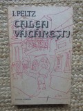 I. Peltz - Calea Vacaresti
