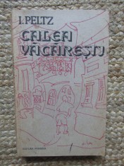 I. Peltz - Calea Vacaresti