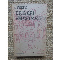 I. Peltz - Calea Vacaresti