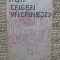 I. Peltz - Calea Vacaresti