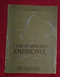 G. A. Smidt CUM SE DESVOLTA DEZVOLTA EMBRIONUL trad. din rusa