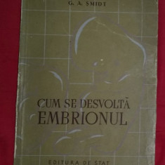 G. A. Smidt CUM SE DESVOLTA DEZVOLTA EMBRIONUL trad. din rusa