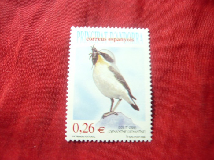 Serie 1 valoare Andorra Spaniola 2003 - Pasare