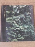 Les Origines de l&#039;Homme: Debutul Vietii - Colectiv, Time-Life 1979, Franceza, Biologie, Cartonata