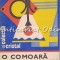 O Comoara Din Nimicuri - Viorel Raducu