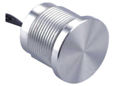 Comutator Piezoelectric SPST-NO 24V 0,2A foto