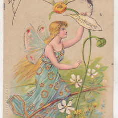 bnk cp Franta - Felicitare - circulata 1905 - Blanc 5 centimes 1900