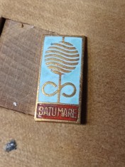 Insigne (5) Steme Satu mare