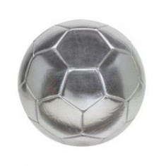 Minge fotbal Kick Silver foto