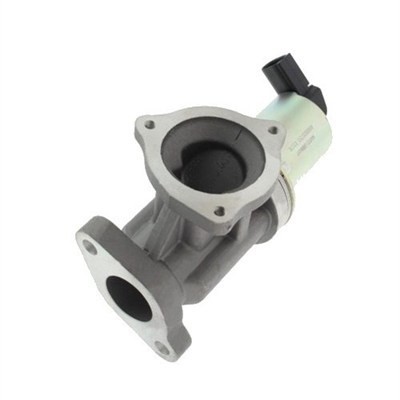 MAGNETI MARELLI 571822112012 Supapa EGR foto