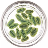 Cumpara ieftin Fimo Nail Art - frunze tăiate, INGINAILS
