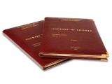 Lucrare licență/disertație/articole