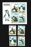 namibia pinguini mnh