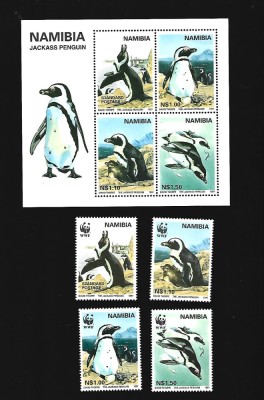 namibia pinguini mnh foto