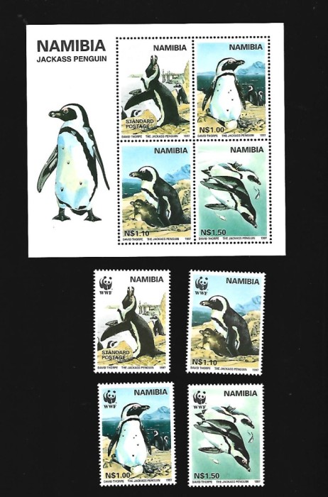 namibia pinguini mnh
