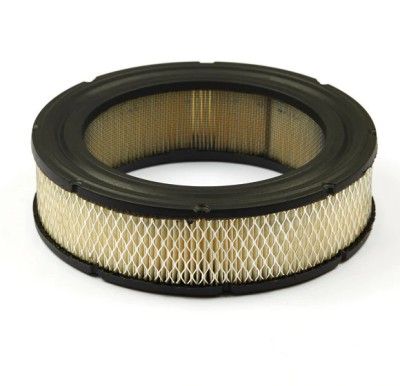 Filtru aer Briggs &amp;amp; Stratton 692519 foto