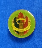 Insigna - PIONIER pentru APARAREA PATRIEI