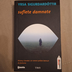 Yrsa Sigurdardottir - Suflete damnate