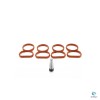 Kit Anulare Clapete Admisie BMW N47 + Garnituri Galerie Admisie