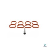 Kit Anulare Clapete Admisie BMW N47 + Garnituri Galerie Admisie