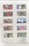 bnk crc Brooke Bond Tea - Pasari tropicale - completa