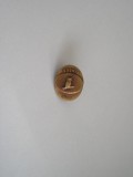 QW9 N 14 - insigna - militar - misune Bosnia 2002 - bufnita pe spada