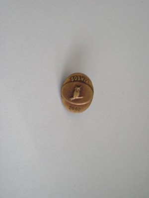 QW9 N 14 - insigna - militar - misune Bosnia 2002 - bufnita pe spada foto
