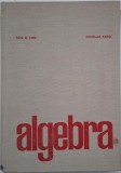 Algebra - Ion D. Ion, Nicolae Radu