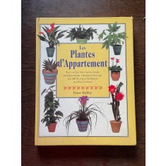 Peter McHoy Les Plantes d Appartement