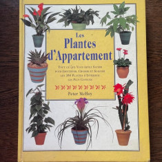 Peter McHoy Les Plantes d Appartement