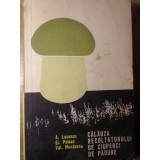 CALAUZA RECOLTATORULUI DE CIUPERCI DE PADURE-A. LUCESCU, EL. POLEAC, VAL. MUNTEANU-255851