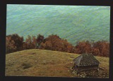 CPIB 19762 CARTE POSTALA - COLIBA PE CULMEA MAGUREAUA, MUNTII FAGARASULUI, Necirculata, Fotografie