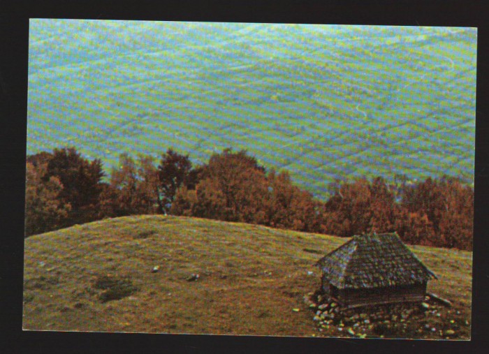 CPIB 19762 CARTE POSTALA - COLIBA PE CULMEA MAGUREAUA, MUNTII FAGARASULUI