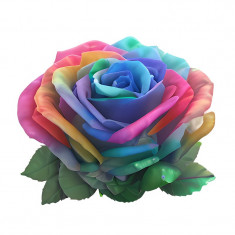 Sticker decorativ, Trandafir, Multicolor, 60 cm, 10516ST foto