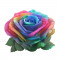 Sticker decorativ, Trandafir, Multicolor, 60 cm, 10516ST