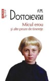 Micul erou si alte proze de tinerete