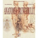 Anatomia trunchiului - Ludovic Seres-Sturm, Klara Brinzaniuc, Cosmin Nicolescu