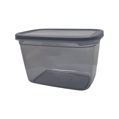 Caserola din plastic cu capac, COD-2604415, 2.3 l, 200 x 140 x 125 mm foto