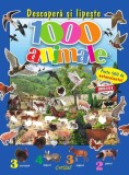 Cumpara ieftin Descoperă şi lipeşte 1000 de animale. Bestseller. Editia a 8-a