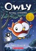 Flying Lessons (Owly #3), Volume 3