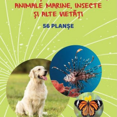 Mapă - Animale și păsări domestice, animale marine, insecte și alte vietăți - Hardcover - Ars Libri