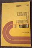 Culegere matematica Algebra Nita, Nastasescu, Brandiburu, Joita, Editie 1983