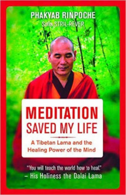 Meditation Saved My Life: A Tibetan Lama and the Healing Power of the Mind foto