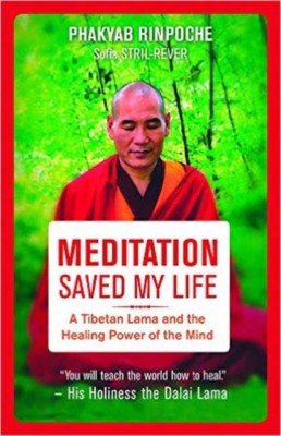 Meditation Saved My Life: A Tibetan Lama and the Healing Power of the Mind foto